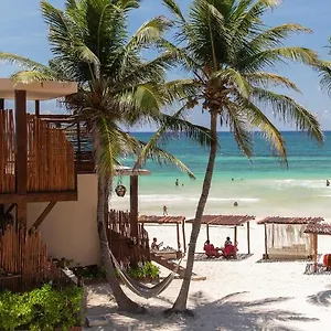***** Hotel La Zebra A Colibri Boutique Mexique